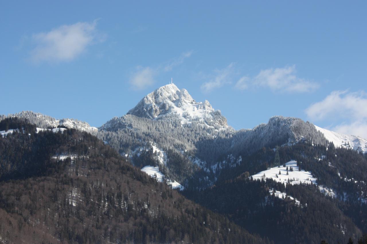 Aiplspitz 2*